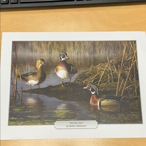 October Sun Art Print by Robert Hautman